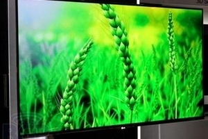 "Giá TV OLED sẽ không ngang bằng với TV LCD"