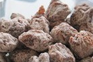 TP.HCM: Tăng cường kiểm tra, ngăn chặn thực phẩm bẩn