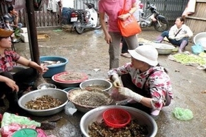 Sợ đồ bẩn, rau dại cá đồng bán chạy