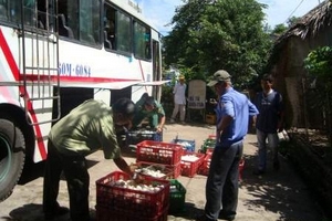 TP.HCM: Heo bệnh về phố, người dùng e dè