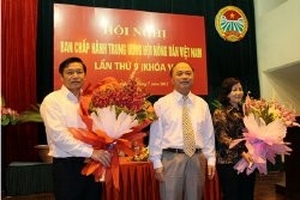 Tăng tính tham mưu, phản biện của Hội