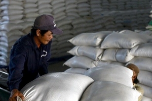 Xuất khẩu gạo đạt kỷ lục nhờ... giá thấp