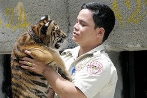 Làm bạn với mãnh thú