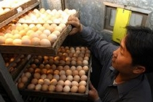 Một quả trứng năm lần đóng phí: Phí chồng phí kiểm dịch