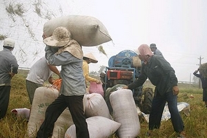 Xuất khẩu 6 tháng đầu năm tăng hơn 22%