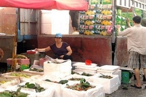Rau quả Trung Quốc về VN bị đội giá 20 lần