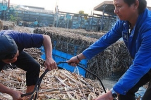 Cuộc chiến 70.000 tấn đường giá rẻ