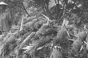 Ngăn chặn thương nhân nội tiếp tay