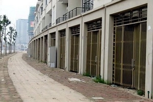 Hà Nội: Hơn 1.000 biệt thự, căn hộ liền kề bỏ hoang