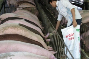 Bóp chẹt nông dân, móc túi người tiêu dùng