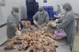 Doanh nghiệp khu chế xuất "tấn công" thị trường nội địa