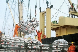 Doanh nghiệp xuất khẩu gạo vừa làm vừa... run