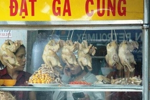 Quán ăn trục lợi từ gà thải