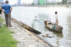 TPHCM: Lại phát hiện xác chết trôi trên kênh