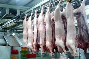 Hàng loạt lò mổ hiện đại 'đắp chiếu', dân ăn thịt bẩn