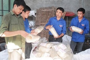 Kiếm tiền tỉ từ…'đại học' làng