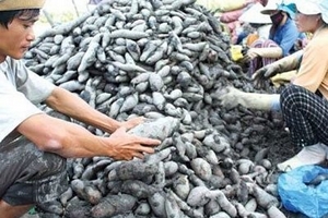 Kiểm soát thương lái Trung Quốc