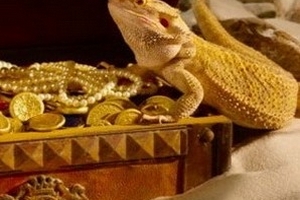 Gói kích thích kinh tế đã khiến giá vàng tăng mạnh