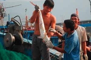 Đà Nẵng: Chấn chỉnh tư thương và bác sỹ TQ