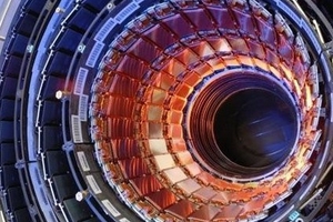 Những bí mật về ‘hạt của Chúa’