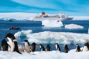 Nam Cực từng một thời ấm áp