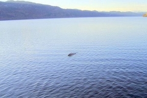 Thêm bằng chứng về quái vật hồ Loch Ness?