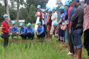 Bước chân tình nguyện ở Nam Lào