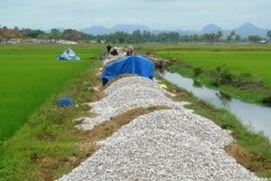 Một vụ lúa, nông dân phải đóng 17 khoản