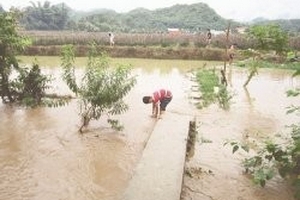 2 người chết, đường sạt lở vì mưa lũ