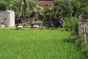 Nỗi đau tột cùng trong ngôi nhà thai phụ giận chồng là tự tử