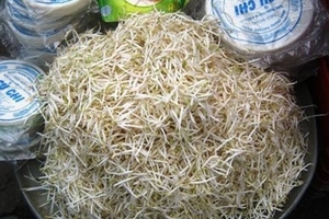 Người quay lưng, kẻ 'liều chết' với giá đỗ ngắn, mập