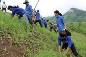 Phủ xanh đồi trọc vùng biên