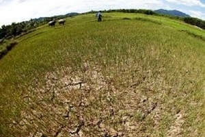 Khát cháy Nam Đông