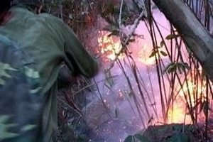 Cháy rừng trong khu du lịch Ghềnh Ráng