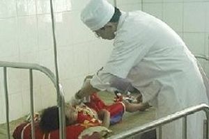 Cá cắn người gây hoang mang có thể là cá nóc mít