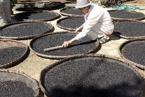 Xuất khẩu hồ tiêu cả năm có thể đạt 780 triệu USD