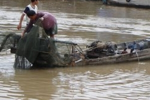 Truy tìm loại cá cắn trẻ tắm sông