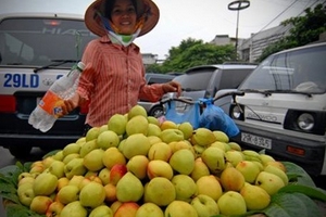Rau quả Trung Quốc bán giá... 'trời ơi'