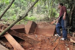 Ba Bể (Bắc Kạn): Dân không mặn mà bảo vệ rừng