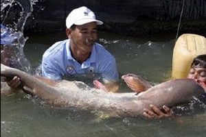 Đề nghị hoãn xây đập trên sông Mekong