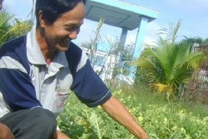 Độc đáo dưa hình xe hơi chỉ có ở miền Tây