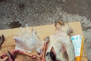 Đao phủ cũng lạnh sống lưng vì thú ăn tươi óc khỉ