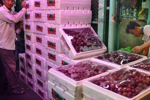 Tăng cường kiểm tra chất lượng trái cây nhập khẩu