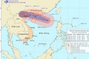 Tin bão gần bờ ( Cơn bão số 5)