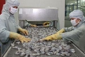 Xuất khẩu tôm quý 3 ước đạt giá trị 690 triệu USD