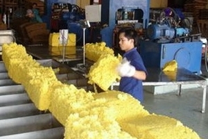 Tìm biện pháp đối phó tình trạng sụt giảm giá cao su