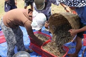 Người dân vương quốc golf đón tương lai... u ám