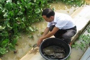 Tác động xấu đến tâm lý nông dân