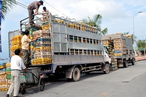 Hàng tấn gà thải Hàn Quốc đổ về TP. HCM