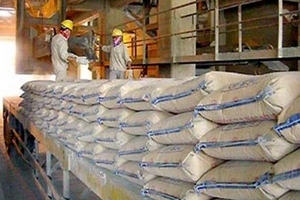 Cay đắng xi măng: Tập đoàn đổ nợ cho Chính phủ